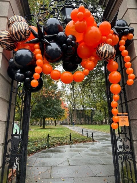 Halloween Balloon Decor | Spooky & Festive Designs | Balloon HQ